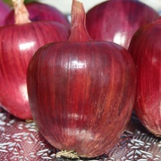 Kategoriename Kategoriename